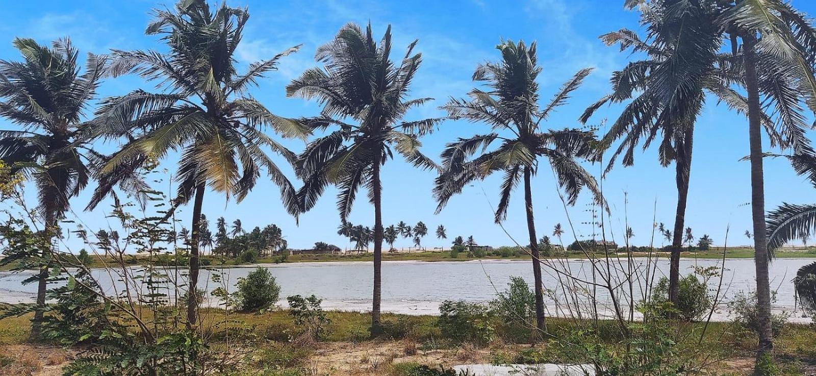 A&Y Wild Camp Ghana Keta Buitenkant foto