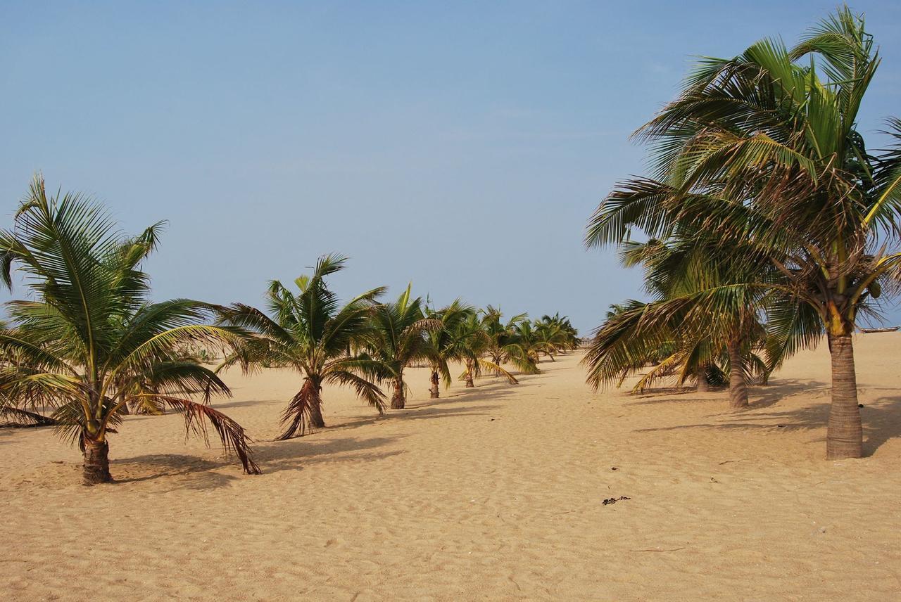 A&Y Wild Camp Ghana Keta Buitenkant foto