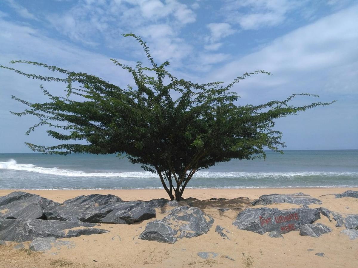 A&Y Wild Camp Ghana Keta Buitenkant foto